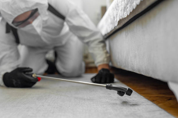 Professional Bed Bug Control technician working in Saukville, WI
