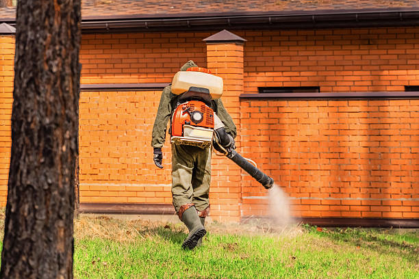 Trusted Ant Control service in Saukville, WI - Nex Pest Control